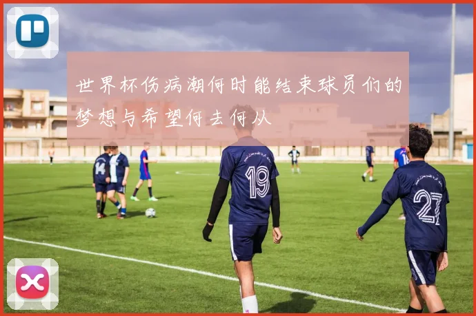 世界杯伤病潮何时能结束球员们的梦想与希望何去何从